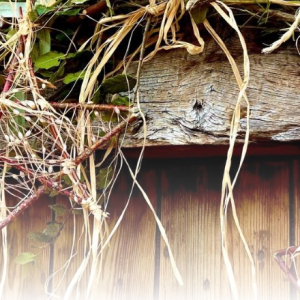 [Ref.032] Taller de cistalleria Nadalenca amb Esther Tomàs (13/12/2025)