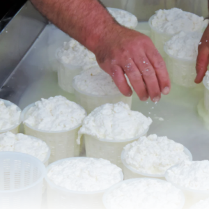 [Ref.038] L'art de fer formatge amb el Carles de la formatgeria Gavarresa (21/02/2026)