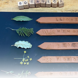 [Ref.039] Taller Herbàri Ceràmic amb Esther Tomàs (14/03/2026)